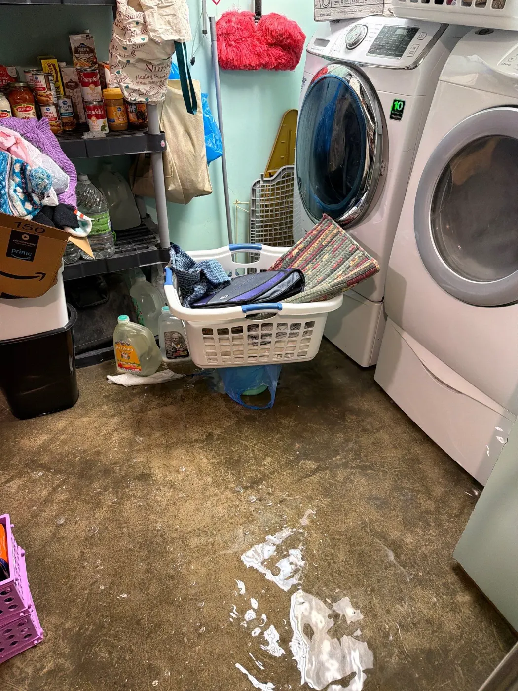 Thermal imaging during water damage assessment in Greenwood Park residence