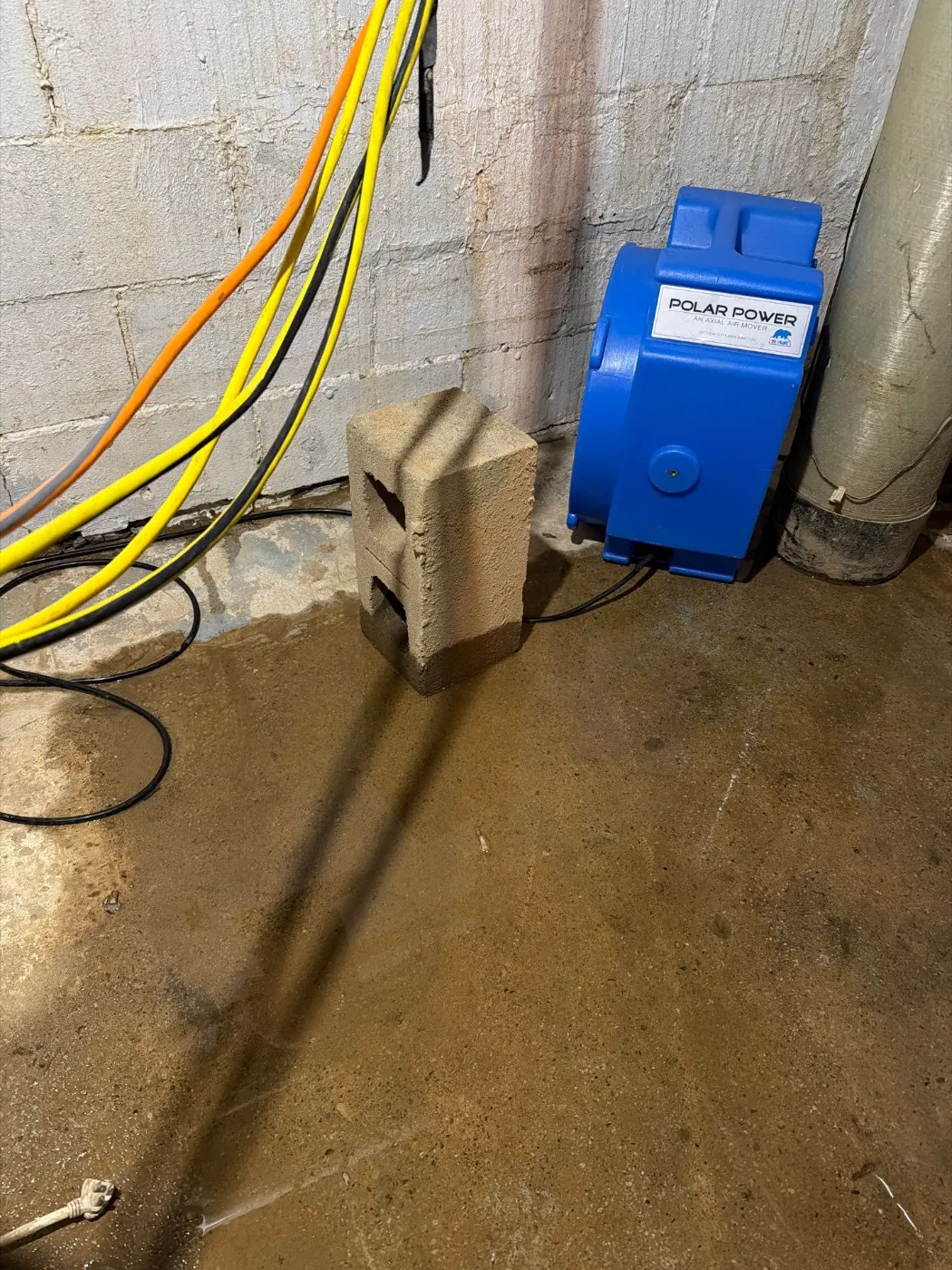 Basement water extraction in Greenwood Park Indiana home